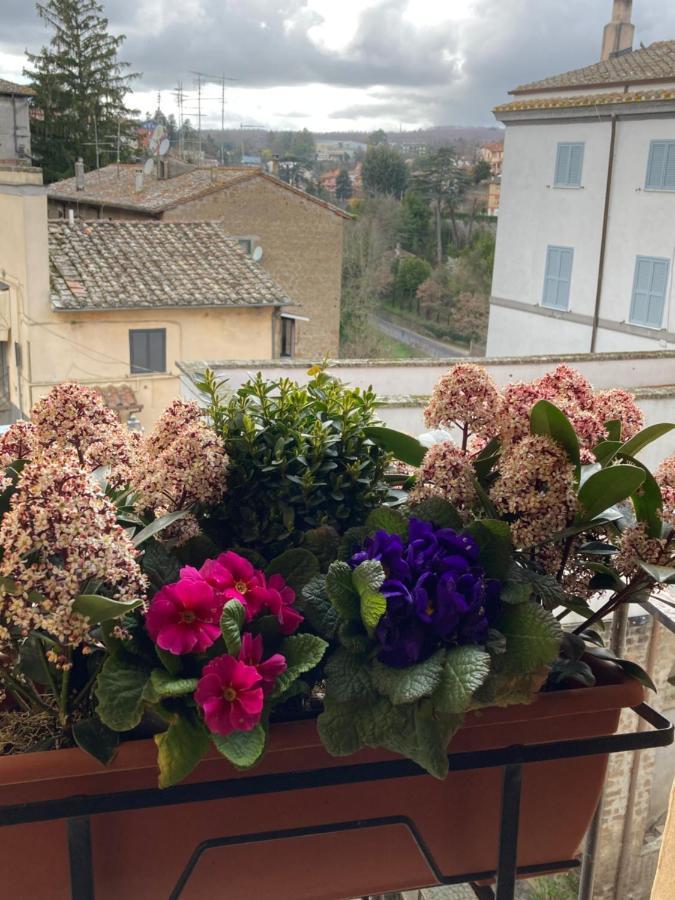 La Casetta Nel Granaio Capranica Kültér fotó